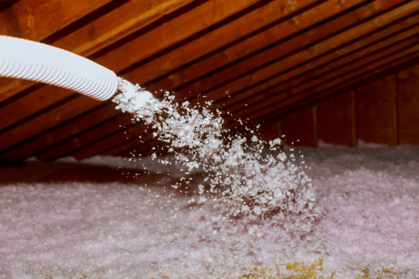 Insulation Replacement Services in Thorp, WI